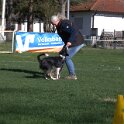 IMG 1735