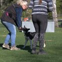 IMG 1744