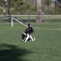 IMG 1773