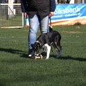 IMG 1780
