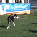 IMG 1799