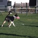 IMG 1802