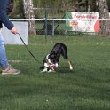 IMG 1811
