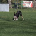 IMG 1812