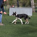 IMG 1815