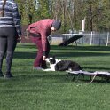 IMG 1853