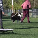 IMG 1858