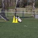 IMG 1863