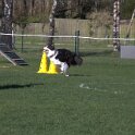IMG 1870