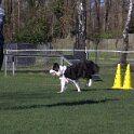 IMG 1871