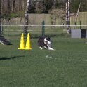 IMG 1877