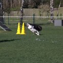 IMG 1878