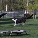 IMG 1881