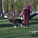 IMG 1883