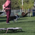 IMG 1884