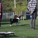 IMG 1885