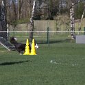 IMG 1888