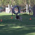 IMG 1929