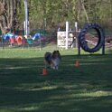 IMG 1932