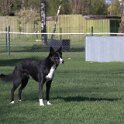 IMG 1954