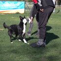 IMG 1964