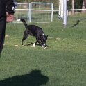 IMG 1968