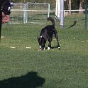 IMG 1969