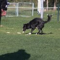 IMG 1972
