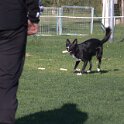 IMG 1973