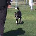 IMG 1975