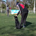 IMG 1979