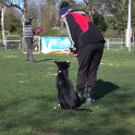 IMG 1980