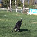 IMG 1981