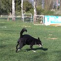 IMG 1982