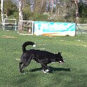 IMG 1983