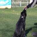 IMG 1991