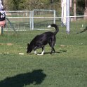 IMG 2027