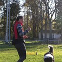 IMG 0014