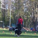 IMG 0019