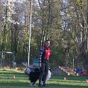 IMG 0020