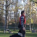 IMG 0022