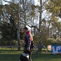 IMG 0034
