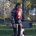 IMG 0046
