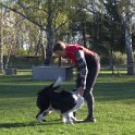 IMG 0055
