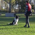 IMG 0056