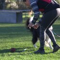 IMG 0059