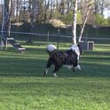 IMG 0066