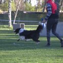 IMG 0076