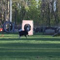 IMG 0081