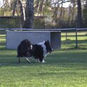 IMG 0089